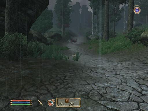 Elder Scrolls IV: Oblivion, The - Дневник имперского гастарбайтера. Том второй.